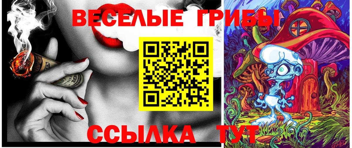 Галлюциногенные грибы Magic Shrooms  Вход с VPN  Псилоцибиновые грибы Psilocybine cubensis  Топки 